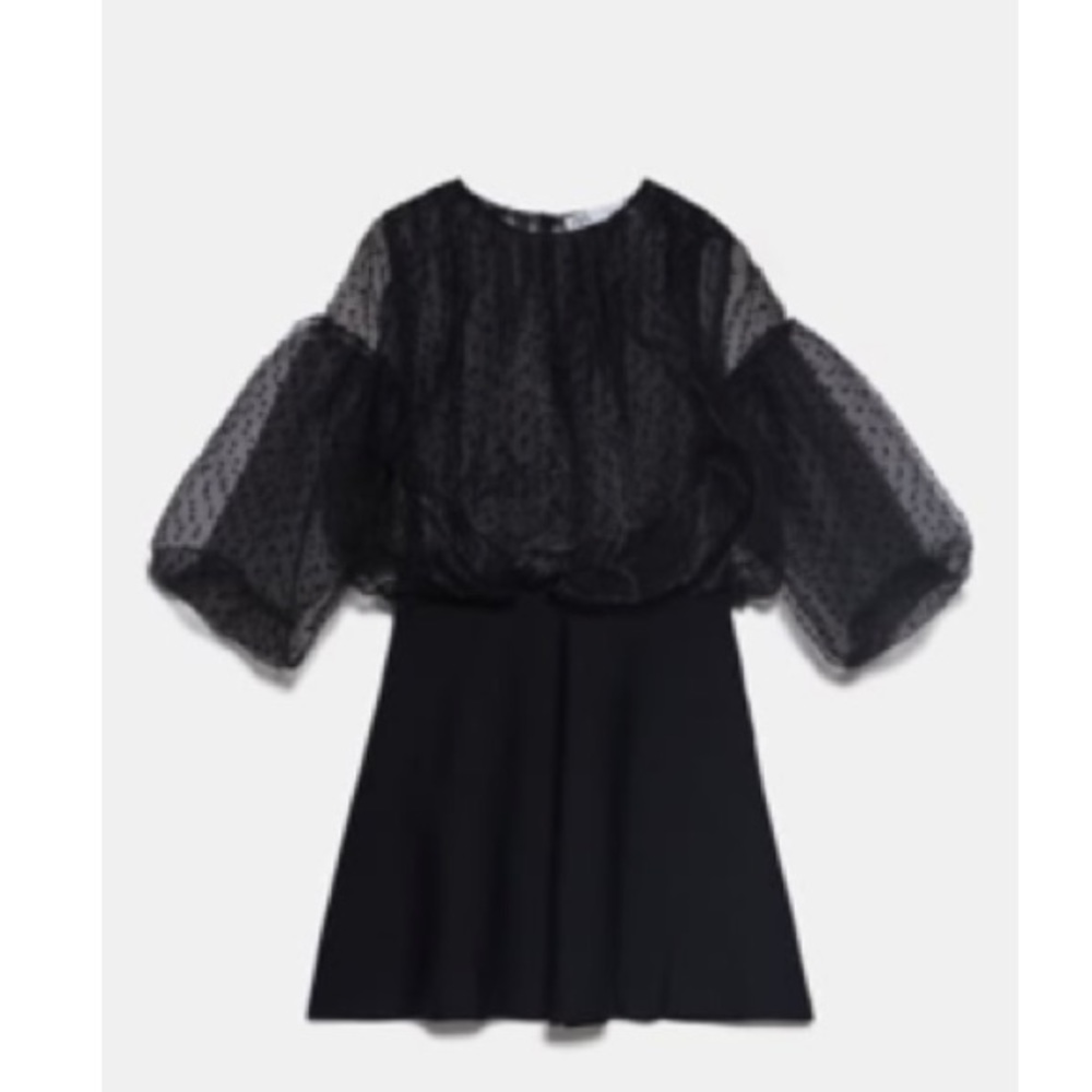 NEW! Zara Dotted Mesh Sleeve Dress - Picture 2 of 9